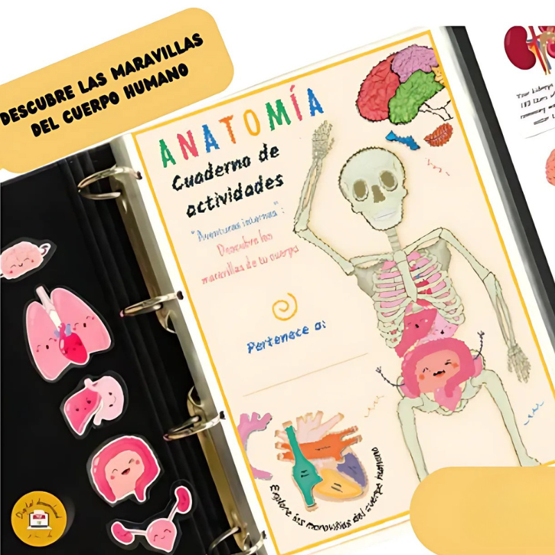 El Mejor Libro de Anatomía para Niños