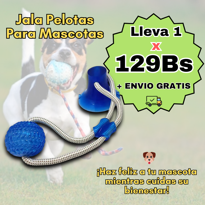 Jala Pelota para Mascotas