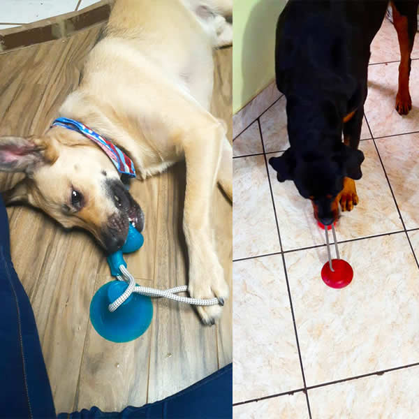 Jala Pelota para Mascotas