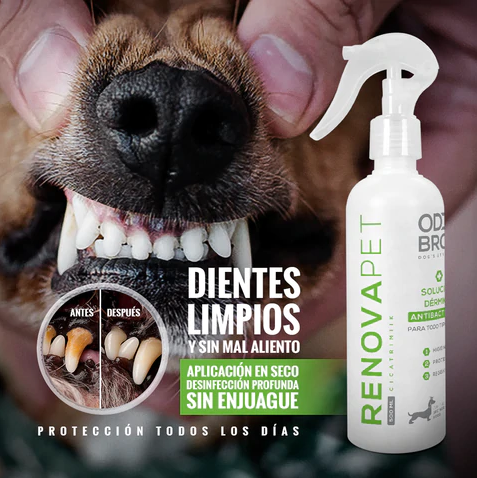 RenovaPet™ Solución Dérmica Antibacterial (500ML)